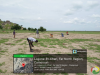 mise en terre waza 1